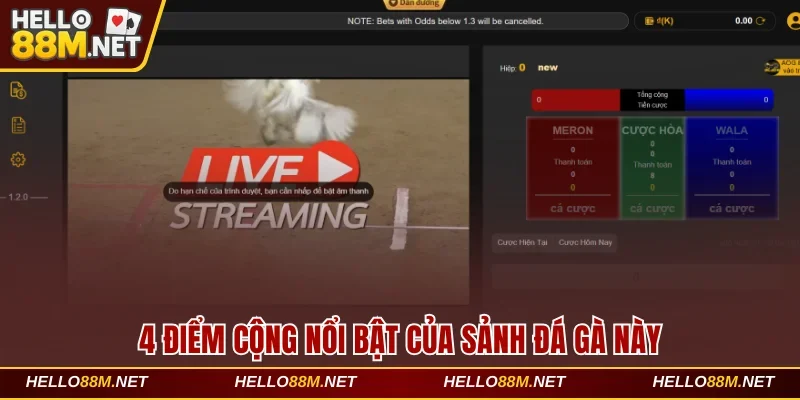 4 điểm cộng nổi bật của sảnh đá gà này