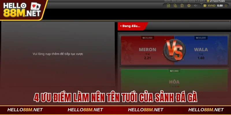 4 ưu điểm làm nên tên tuổi của sảnh đá gà