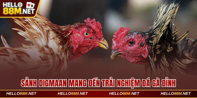 Sảnh Digmaan