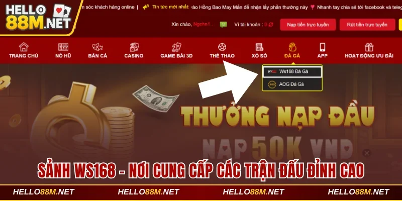 Sảnh Ws168